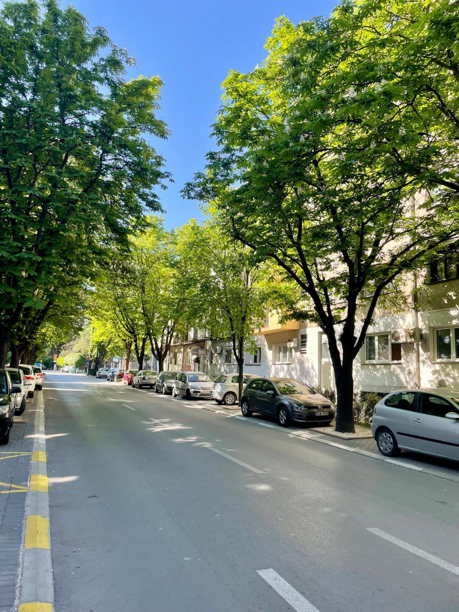 Luxury City Center Apartment Üsküp Dış mekan fotoğraf